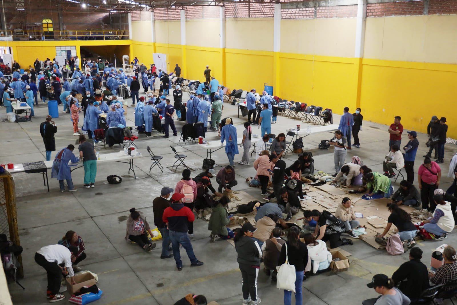 Chiautempan fue sede de jornada masiva de esterilización; se atendieron a más de 300 perros y gatos